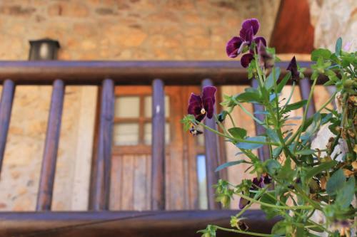 Casas Do Favacal