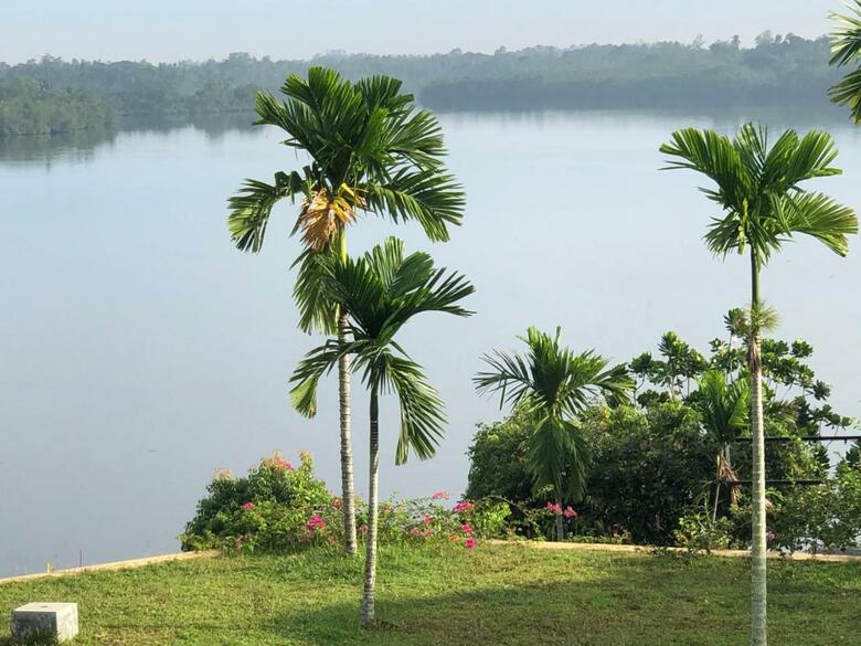 Hotel Kalla Bongo Lake Resort