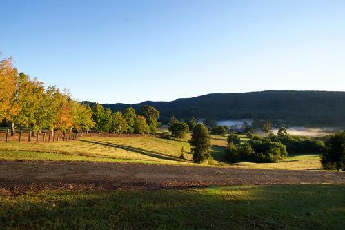 Agroturismo Clarendon Forest Retreat