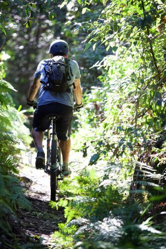 Agroturismo Clarendon Forest Retreat