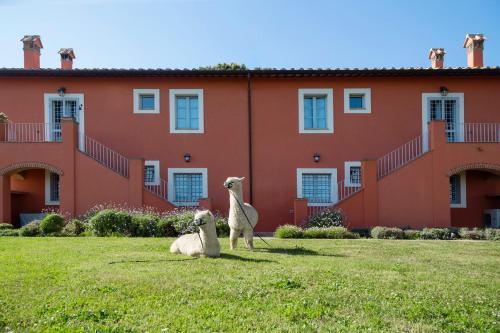 Agroturismo Agriturismo Piani Della Marina