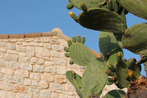 Agroturismo Tenuta Zannafondo