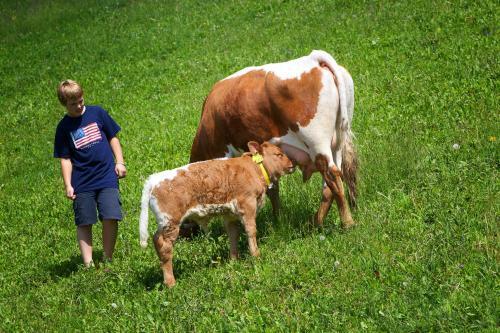 Apartamentos Farm Stay Pirc