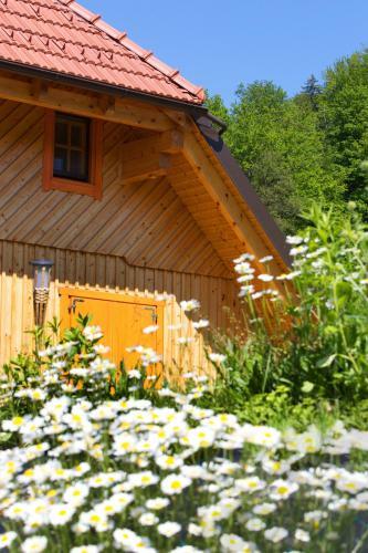 Apartamentos Farm Stay Pirc