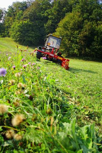 Apartamentos Farm Stay Pirc