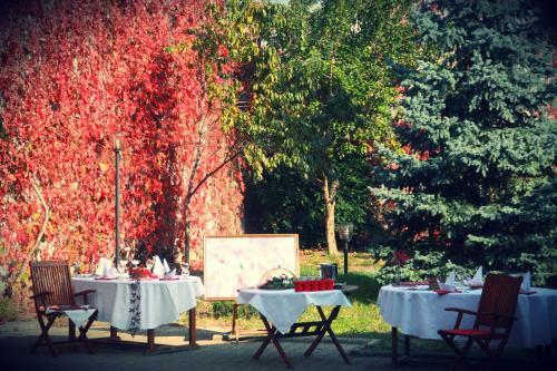 Hostal Pensiunea Curtea Bavareza