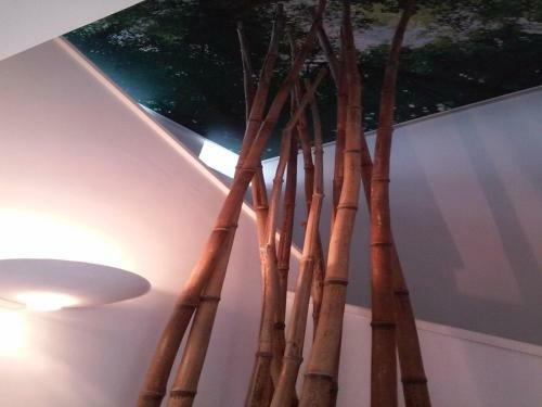 Guimaraesliving - Hostel &amp; Adventure