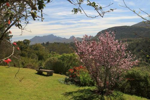 Apartamento Fynbos Garden Suite