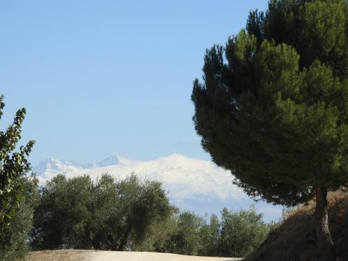 Agroturismo Cortijo La Fe - Spa