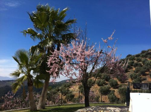 Agroturismo Cortijo La Fe - Spa