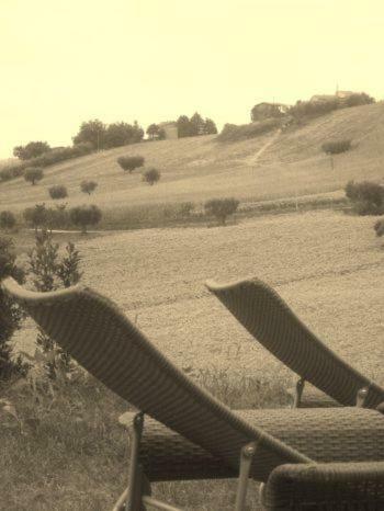Hostal Agriturismo Il Gelso Antico