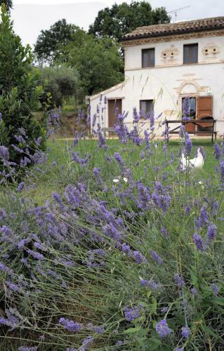 Hostal Agriturismo Il Gelso Antico