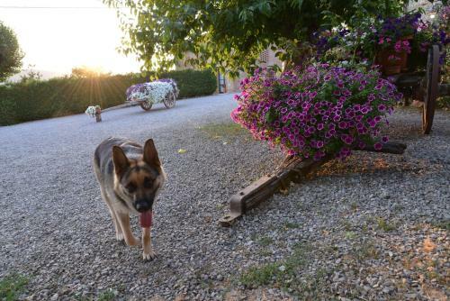 Agroturismo Casa Di Campagna In Toscana