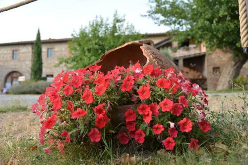 Agroturismo Casa Di Campagna In Toscana