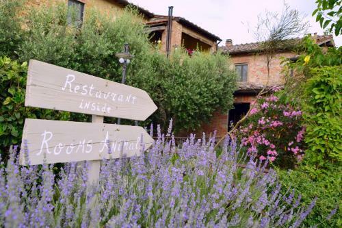 Agroturismo Casa Di Campagna In Toscana
