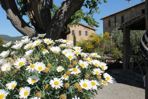 Agroturismo Casa Di Campagna In Toscana