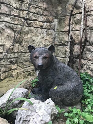 Hostal Guest House Svetlana