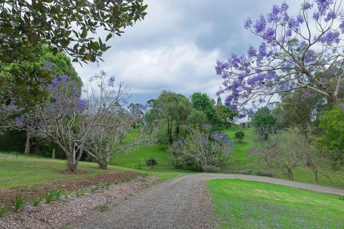 Agroturismo Jacaranda Cottages