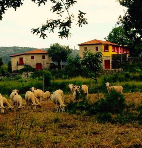Agroturismo Quinta Do Olival