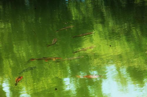 Bed & Breakfast Kalarickal Heritage Bungalow