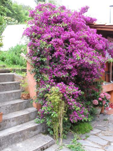 Agroturismo Casa Rural Enkartada