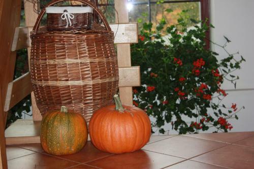 Hostal Penzion Vital