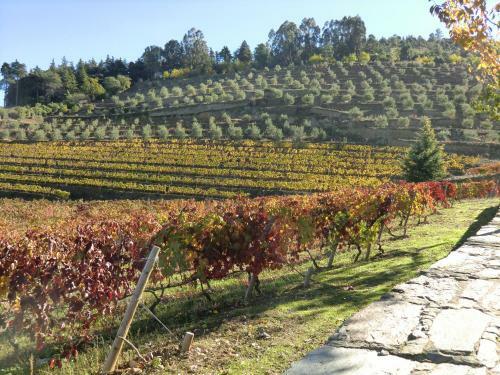 Agroturismo Quinta Das Aveleiras