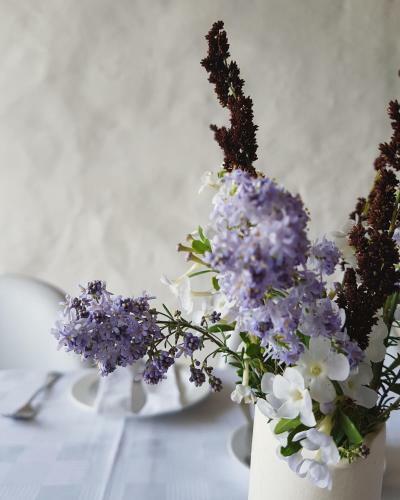 Bed & Breakfast Wildekrans Country House