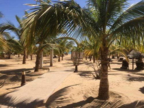 Hotel Lamantin Beach Resort & Spa