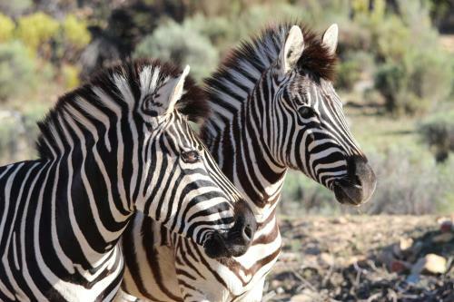 Hotel Bo Kouga Mountain Retreat