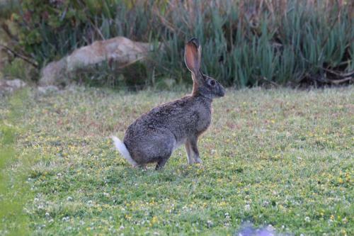 Hotel Bo Kouga Mountain Retreat
