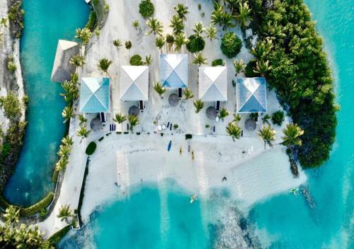 Hotel Royal Palm Island Resort