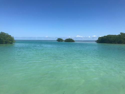 Hotel Royal Palm Island Resort