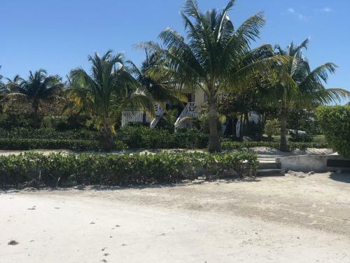 Hotel Royal Palm Island Resort