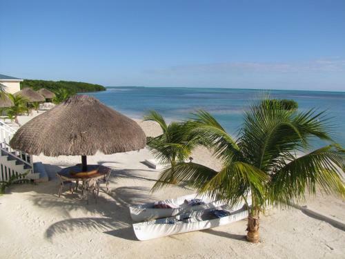 Hotel Royal Palm Island Resort