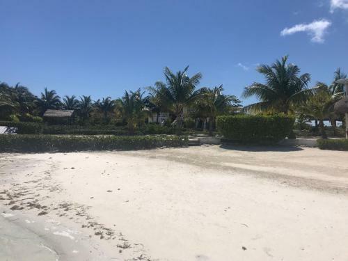 Hotel Royal Palm Island Resort