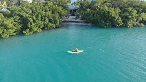 Hotel Royal Palm Island Resort