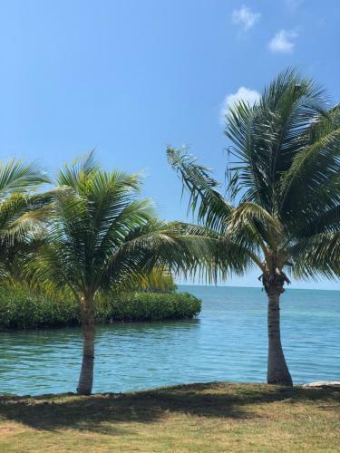 Hotel Royal Palm Island Resort