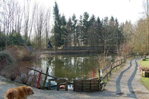 Hotel Auberge Du Bord Des Eaux