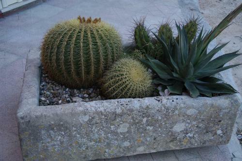 Agroturismo Tenuta Annibale