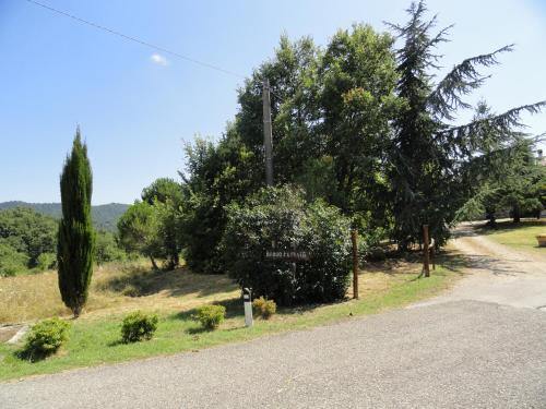 Agroturismo Borgo Petraio