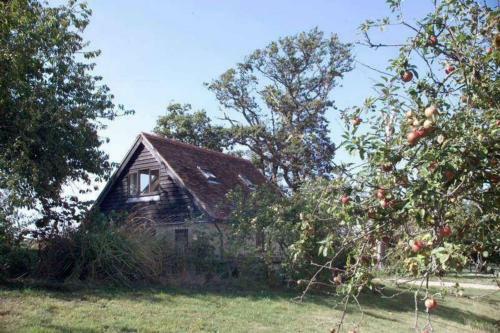 Agroturismo Godshill Park Farm House