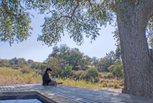 The River Lodge At Thornybush