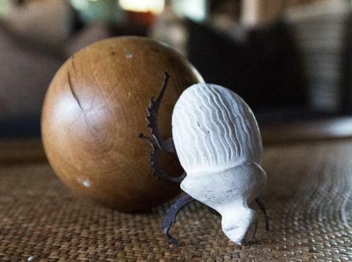 The River Lodge At Thornybush