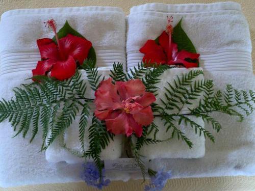 Villa Del Sol B&B Boutique