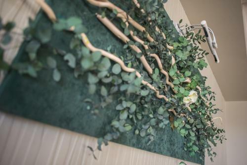Hotel Relax Craiova