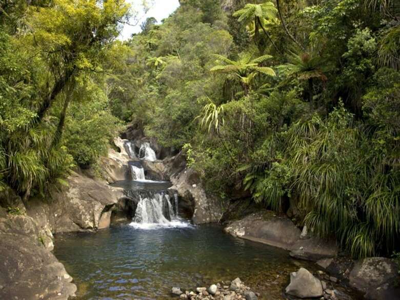 Bed & Breakfast Rapaura Watergardens
