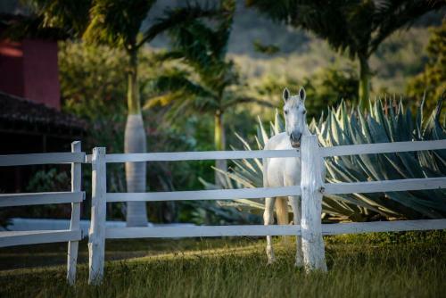 Hostal Rancho Chilamate Horse Ranch
