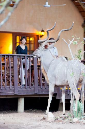 Needles Lodge