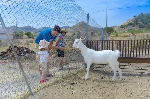 Agroturismo Finca Liarte